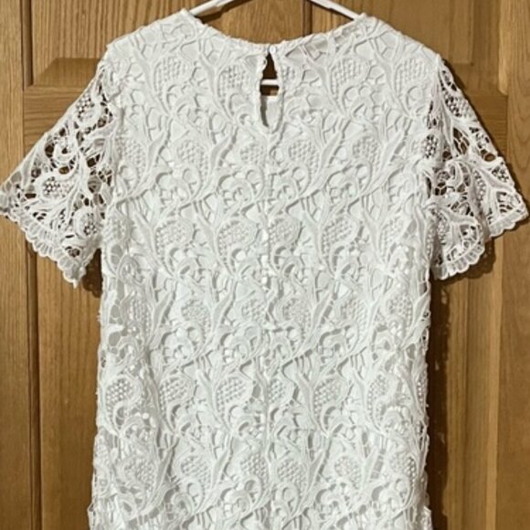 Gray + Bleu White Lace Sheath Mini Dress with Crew Neck and Short Sleeves Large - Picture 7 of 10